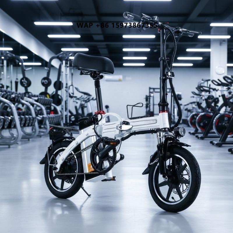 Mini Folding Electric Bike Fac - огляд і ціна Commuting With Bike